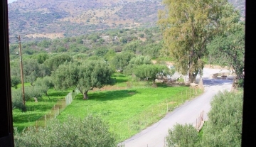 leNIkAmezONETA120m27.jpg